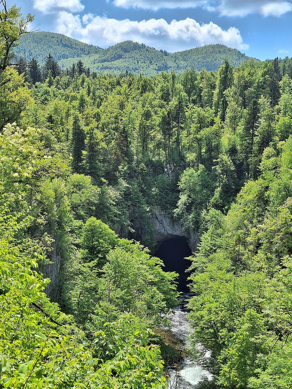 Wandern Slowenien Karst Rakov Schlucht 1 - Sento Wanderreisen