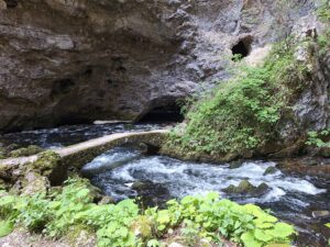 Wandern Slowenien Karst Rakov Schlucht 3 - Sento Wanderreisen