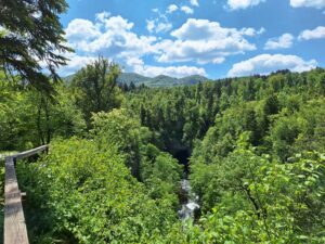 Wandern Slowenien Karst Rakov Schlucht - Sento Wanderreisen