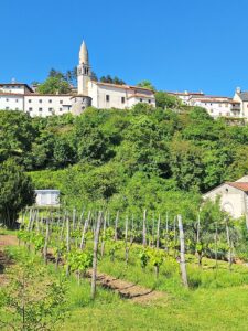 Wandern Slowenien Karst Stanjel von unten - Sento Wanderreisen