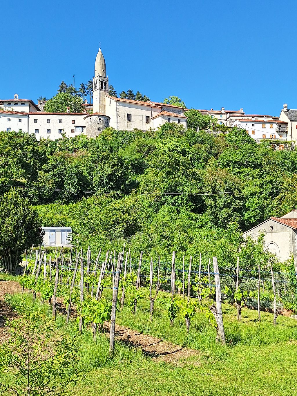 Wandern Slowenien Karst Stanjel von unten - Sento Wanderreisen