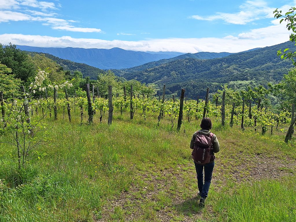 Wandern Slowenien Karst Wanderweg Kodreti - Sento Wanderreisen