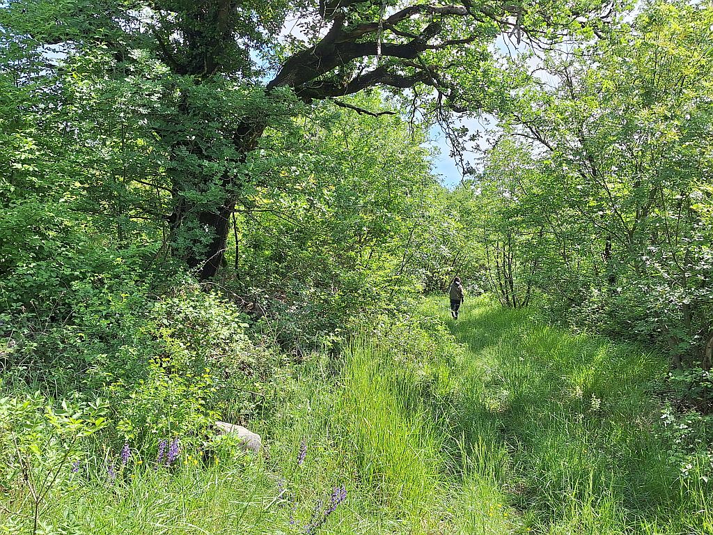 Wandern Slowenien Karst Wanderweg - Sento Wanderreisen