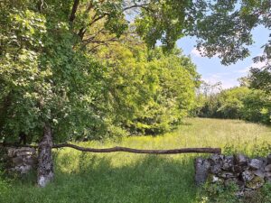Wandern Slowenien Karst Wiesen - Sento Wanderreisen