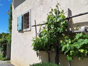 Wandern Slowenien Karst in Pedrovo - Sento Wanderreisen