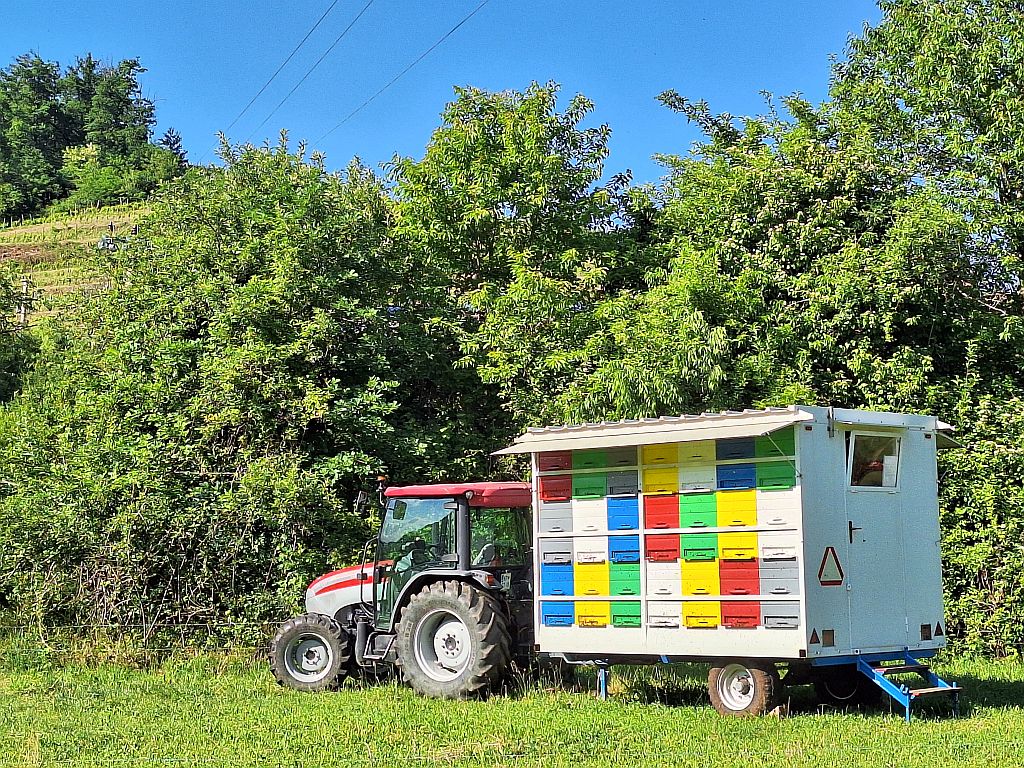 Wandern Slowenien Karst mobiler Bienenwagen 1 - Sento Wanderreisen