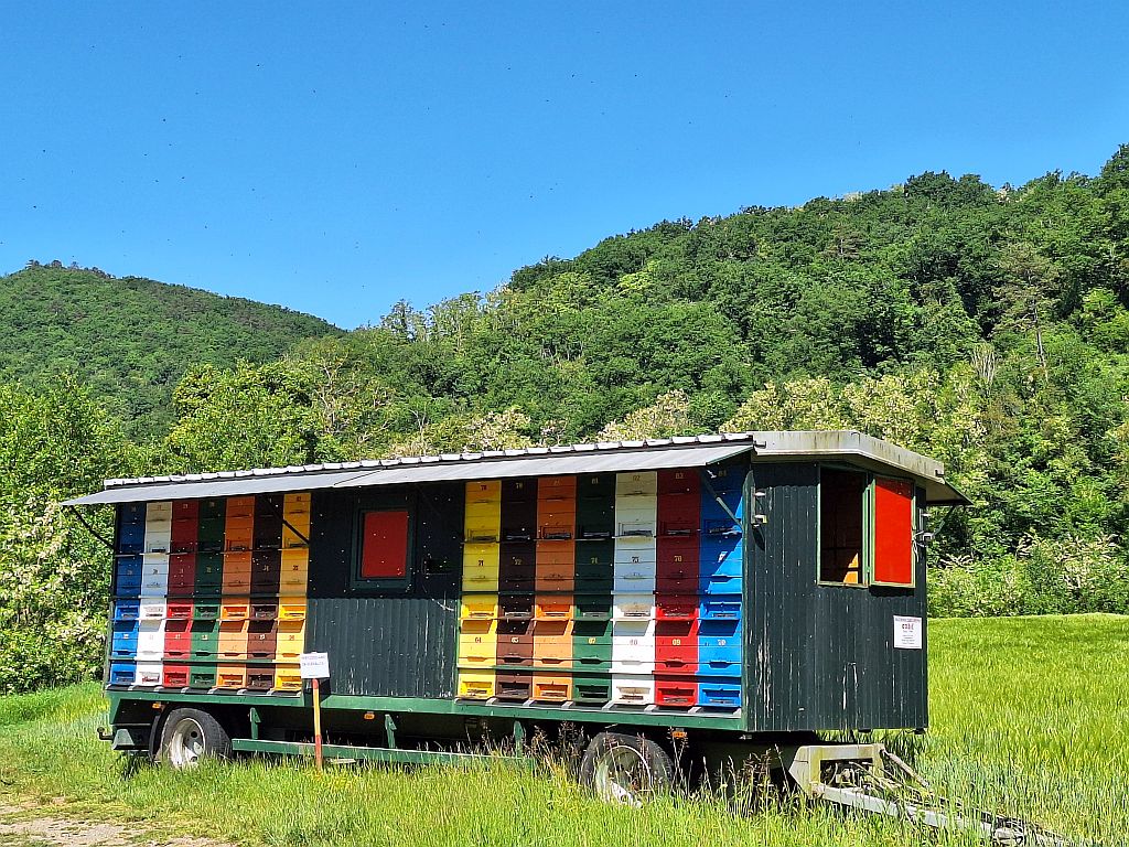 Wandern Slowenien Karst mobiler Bienenwagen - Sento Wanderreisen
