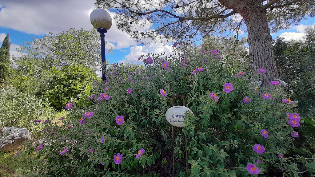 Apulien Wanderreise Bio-Hof Garten - Sento Wanderreisen