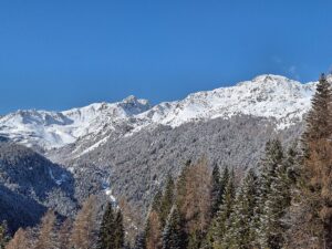 Südtirol Ultental Winterreise Hinteres Ulten Wälder - Sento Wanderreisen