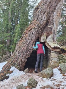 Südtirol Ultental Winterreise Urlärchen 1 - Sento Wanderreisen