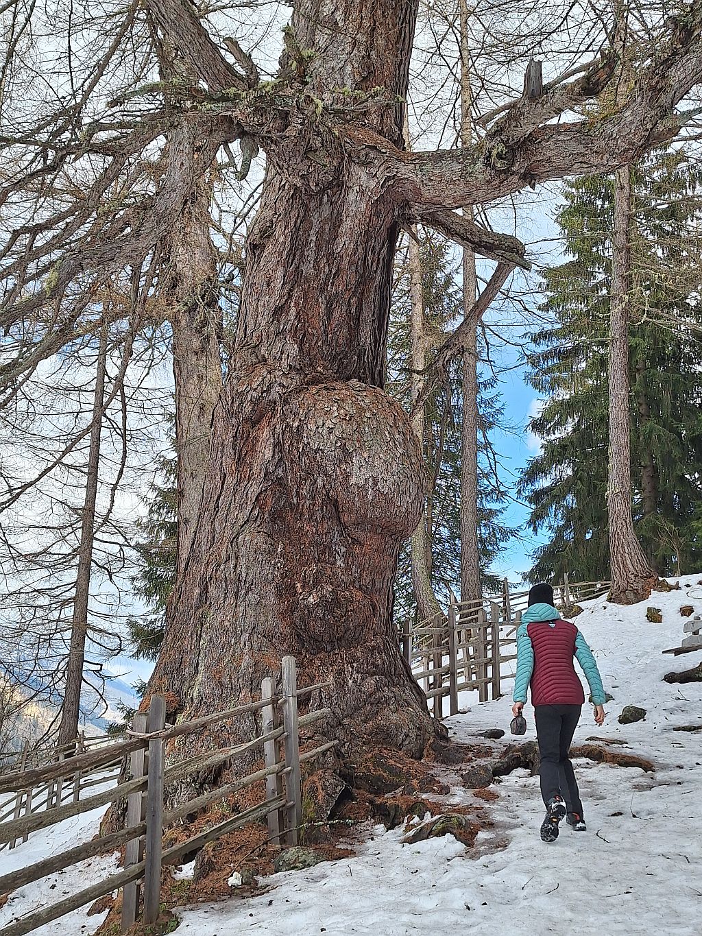 Südtirol Ultental Winterreise Urlärchen - Sento Wanderreisen