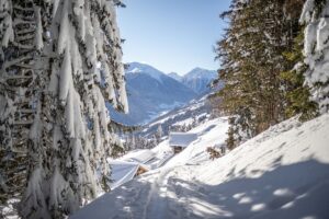 Südtirol Ultental Winterreise Wandern auf eine Alm (c) Tourismusgenossenschaft UltentalProveis - Gert Pöder