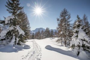 Südtirol Ultental Winterreise Wandern im Schnee (c) Tourismusgenossenschaft UltentalProveis - Gert Pöder