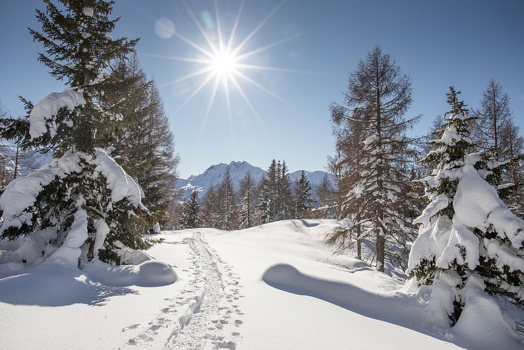 Südtirol Ultental Winterreise Wandern im Schnee (c) Tourismusgenossenschaft UltentalProveis - Gert Pöder