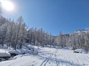 Südtirol Ultental Winterreise Weissbrunnsee 11 - Sento Wanderreisen