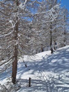 Südtirol Ultental Winterreise Weissbrunnsee 2 - Sento Wanderreisen