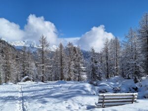 Südtirol Ultental Winterreise Weissbrunnsee 7 - Sento Wanderreisen