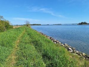 Wandern Italien Friaul Lagune nach Aquileia 1 - Sento Wanderreisen