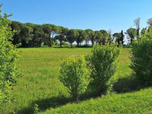 Wandern Italien Friaul Natissa-Fluss nach Aquileia 3 - Sento Wanderreisen