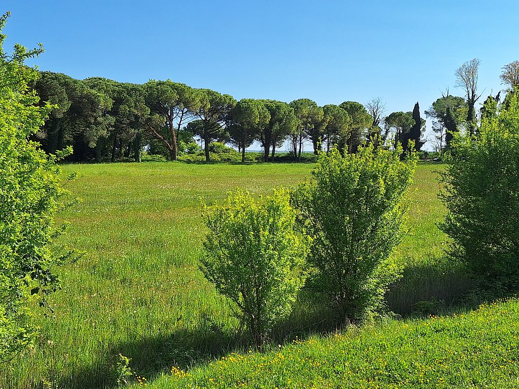 Wandern Italien Friaul Natissa-Fluss nach Aquileia 3 - Sento Wanderreisen
