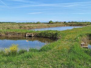 Wandern Italien Friaul Valle Nalon 4 - Sento Wanderreisen