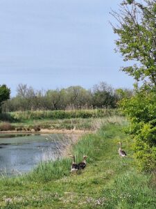 Wandern Italien Friaul Valle Nalon 5 - Sento Wanderreisen