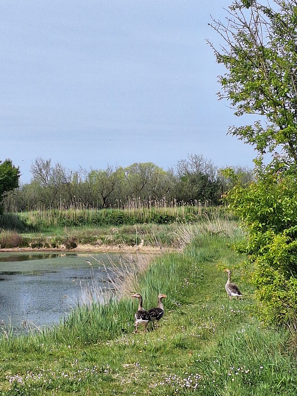 Wandern Italien Friaul Valle Nalon 5 - Sento Wanderreisen