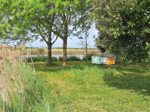 Wandern Italien Friaul Valle Nalon Honig - Sento Wanderreisen