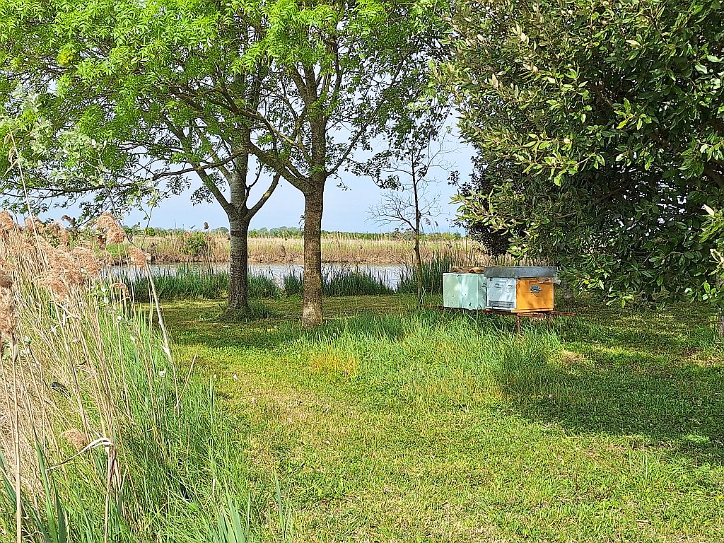 Wandern Italien Friaul Valle Nalon Honig - Sento Wanderreisen